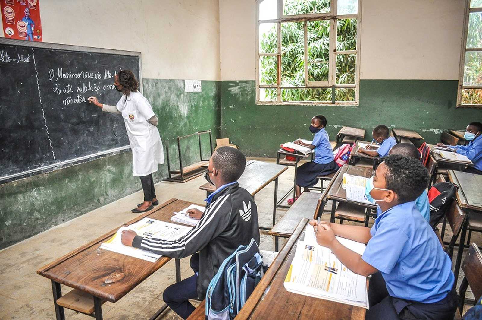 Executivo Prevê Produzir Carteiras Escolares Com Madeira Apreendida • Diário Económico
