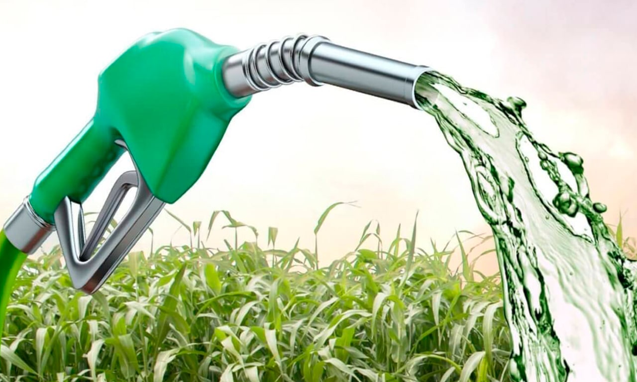 Governo Brasileiro Quer Produzir Fármacos em Moçambique e Cooperar Nos Biocombustíveis • Diário Económico