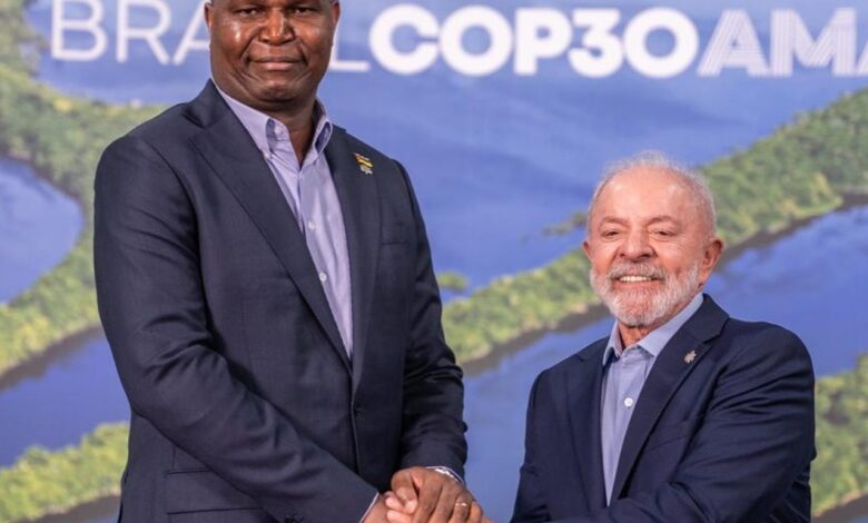 Moçambique defende papel global na preservação ambiental