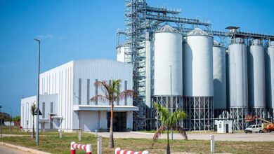 Nova fábrica de processamento de gergelim avaliada em 35 M$ entra em funcionamento em Sofala