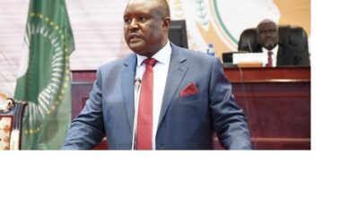 Presidente do Parlamento Pan-Africano visita Moçambique