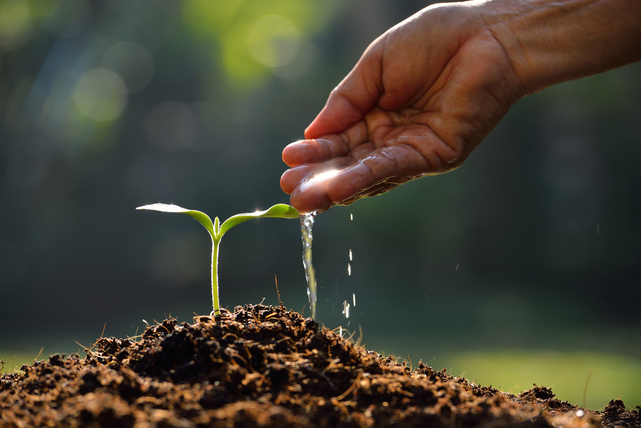 Fundo Global do Ambiente Aplica Quase 45 M$ em Iniciativas Ambientais no País • Diário Económico