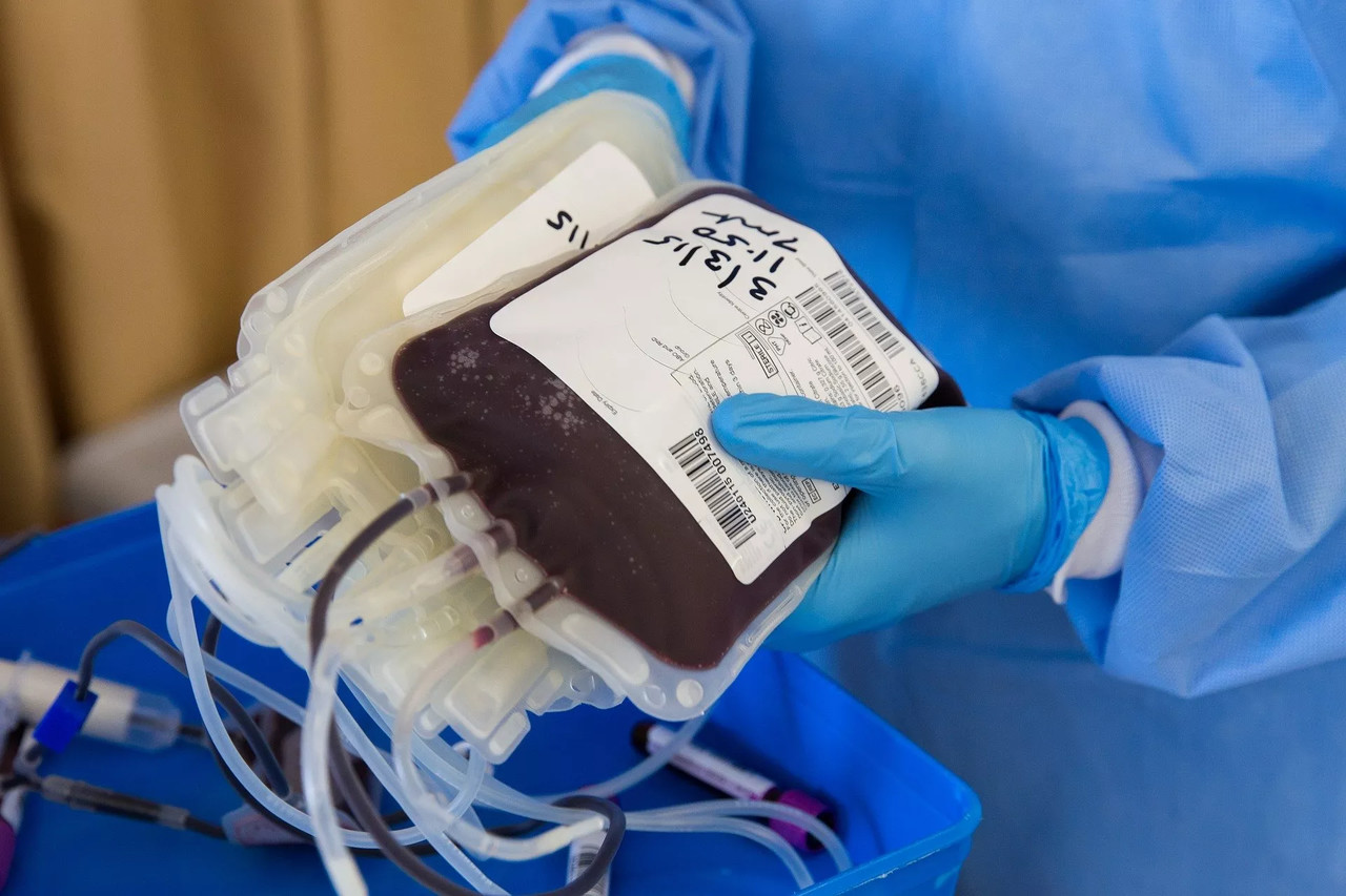 HCM Tem 160 Unidades de Sangue Para Emergências de Fim de Ano • Diário Económico