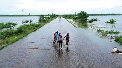 As Chuvas Continuam a Sair Caro a Moçambique • Diário Económico