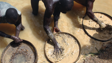 Comissão do Plano e Orçamento recomenda mais controlo da mineração e combate à malária em Manica