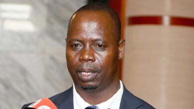 Província de Maputo disponibiliza mais de 14 mil hectares para atrair investimento