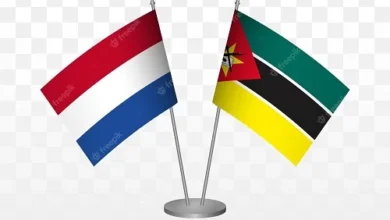 Moçambique e Países Baixos assinam acordo para fortalecer sector de sementes