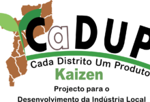 Programa CaDUP-ProAssiste apoia 15 PMEs com financiamento de 120 mil meticais
