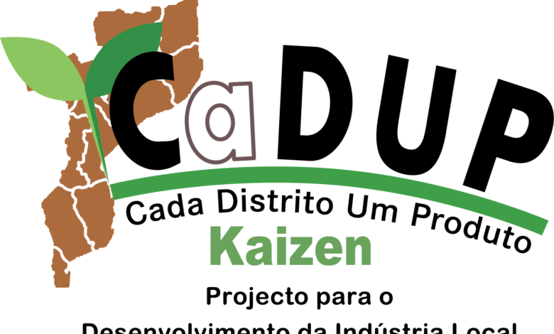 Programa CaDUP-ProAssiste apoia 15 PMEs com financiamento de 120 mil meticais