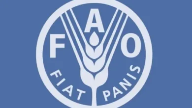 FAO e PMA apelam ao reforço de investimentos antecipados para proteger comunidades dos efeitos do El Niño