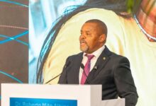 Governo quer transformar Moçambique em centro de produção agrícola com aposta em tecnologia e investimento