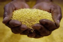 Manica regista queda na produção de ouro devido à suspensão da actividade mineira